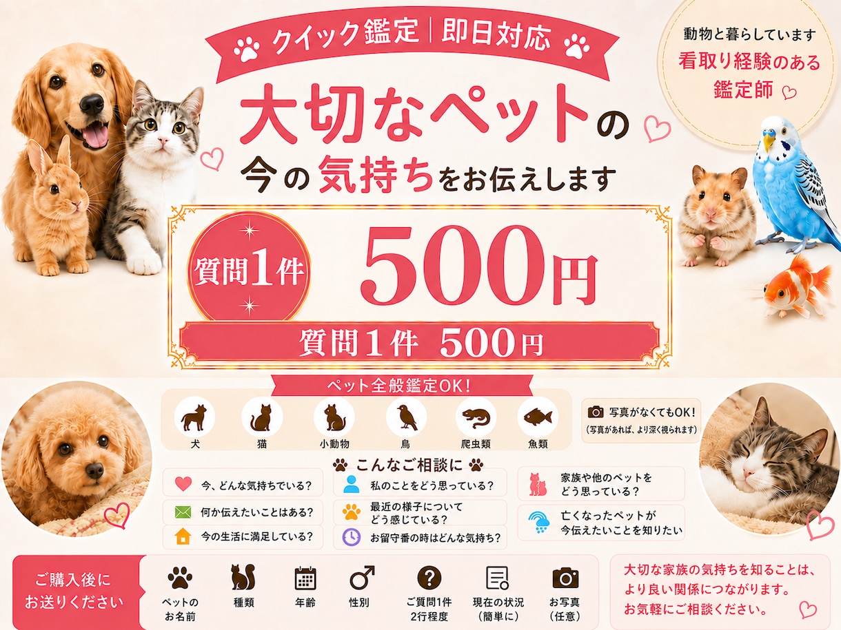 最短10分 質問１件　大切な子の今の気持ちを視ます 即日対応｜ペット全般OK｜今伝えたい気持ちを短文でお届け イメージ2