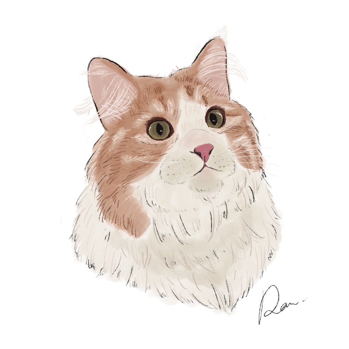 猫ちゃんのイラストをふんわり可愛いくお描きします Cat Portrait Illustration イメージ3