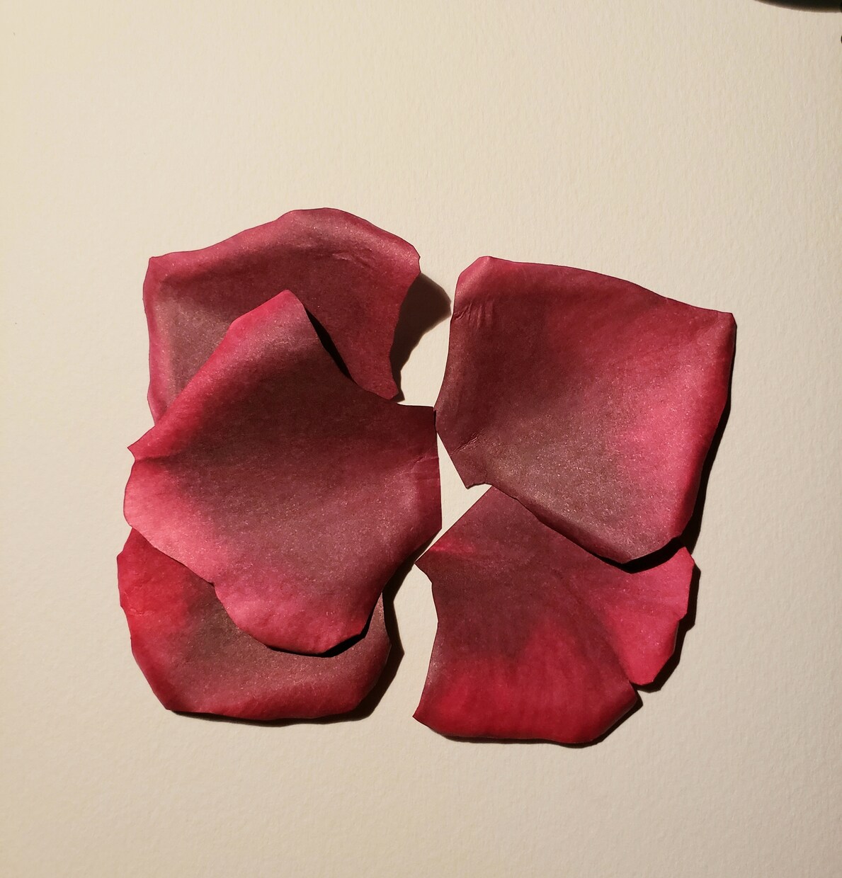 紙のオーダーフラワーをお作りいたします 紙で花びらを1枚ずつ制作したお花を完全オーダーメイド。 イメージ6