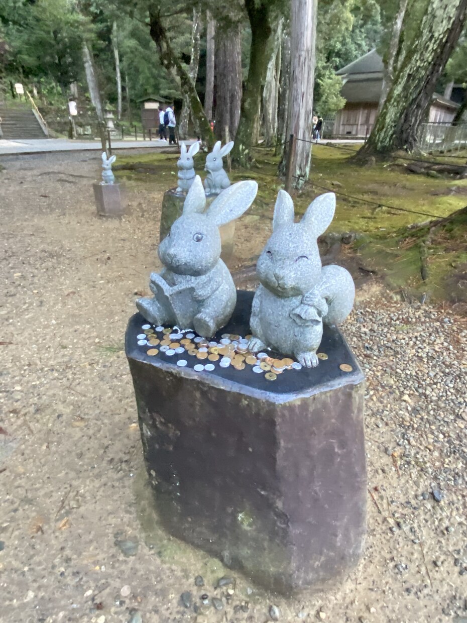 日々の悩みやモヤモヤを晴らします 明日が少しでも楽しみになれるよう心を込めて寄り添います。 イメージ3