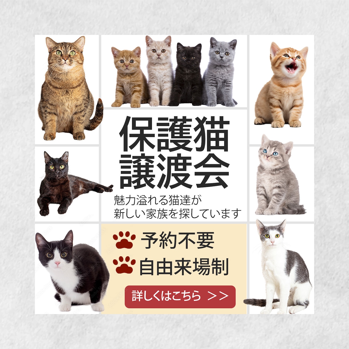 バナー、ヘッダー等各種WEB画像制作します 丁寧なヒヤリングでご納得頂ける商品を提供いたします イメージ7