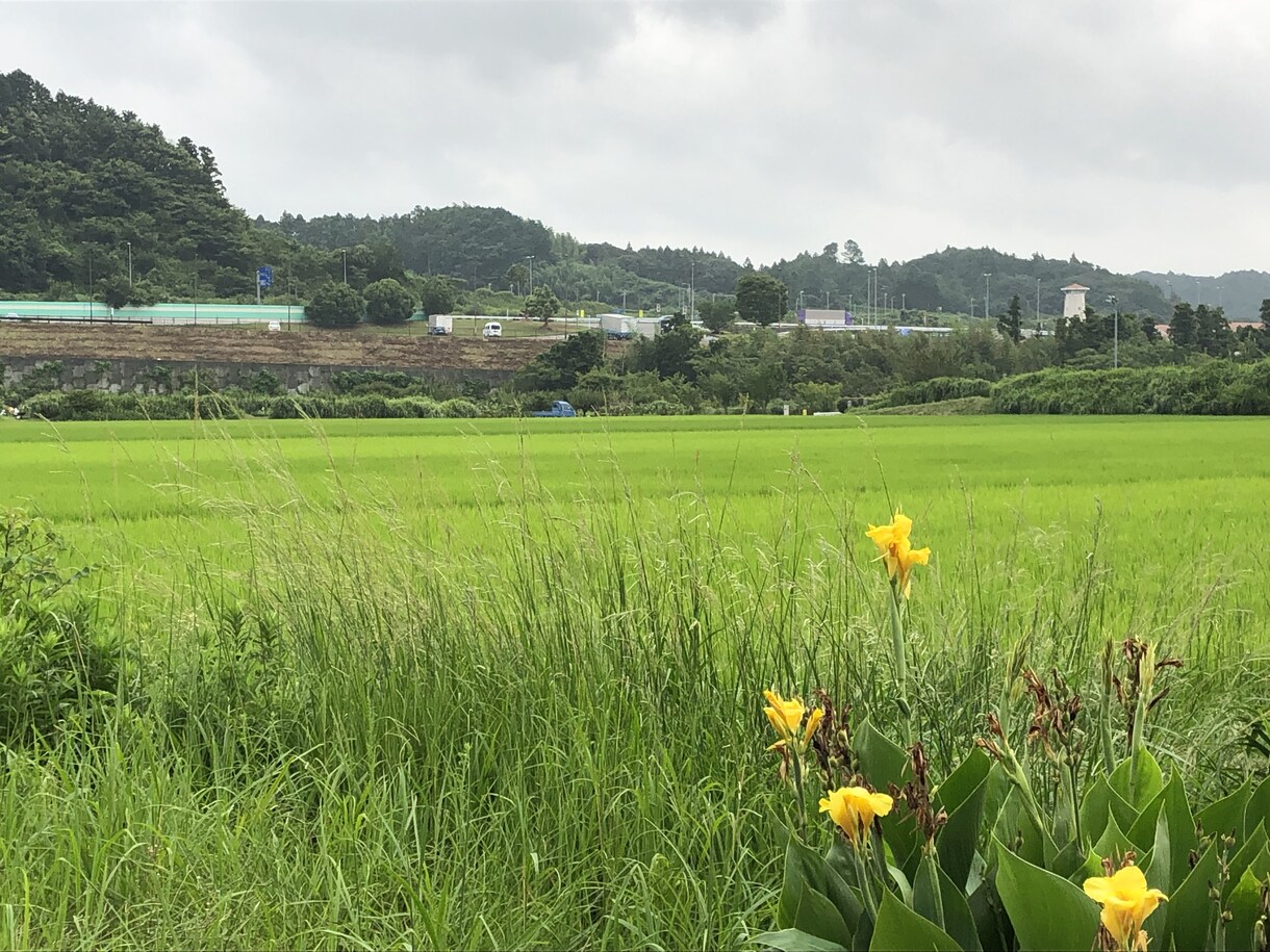 心が軽くなり、潜在的な力を引き出すお手伝いをします モヤモヤしているものを取り除き、楽しい毎日を送りましょう！ イメージ6