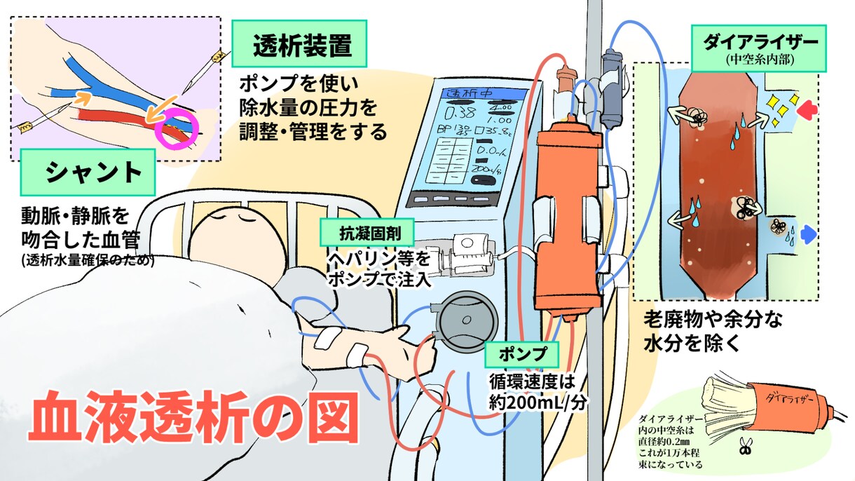 医療系解説絵描けます イラストが得意な薬剤師です！医療系イラスト描けます！ イメージ2