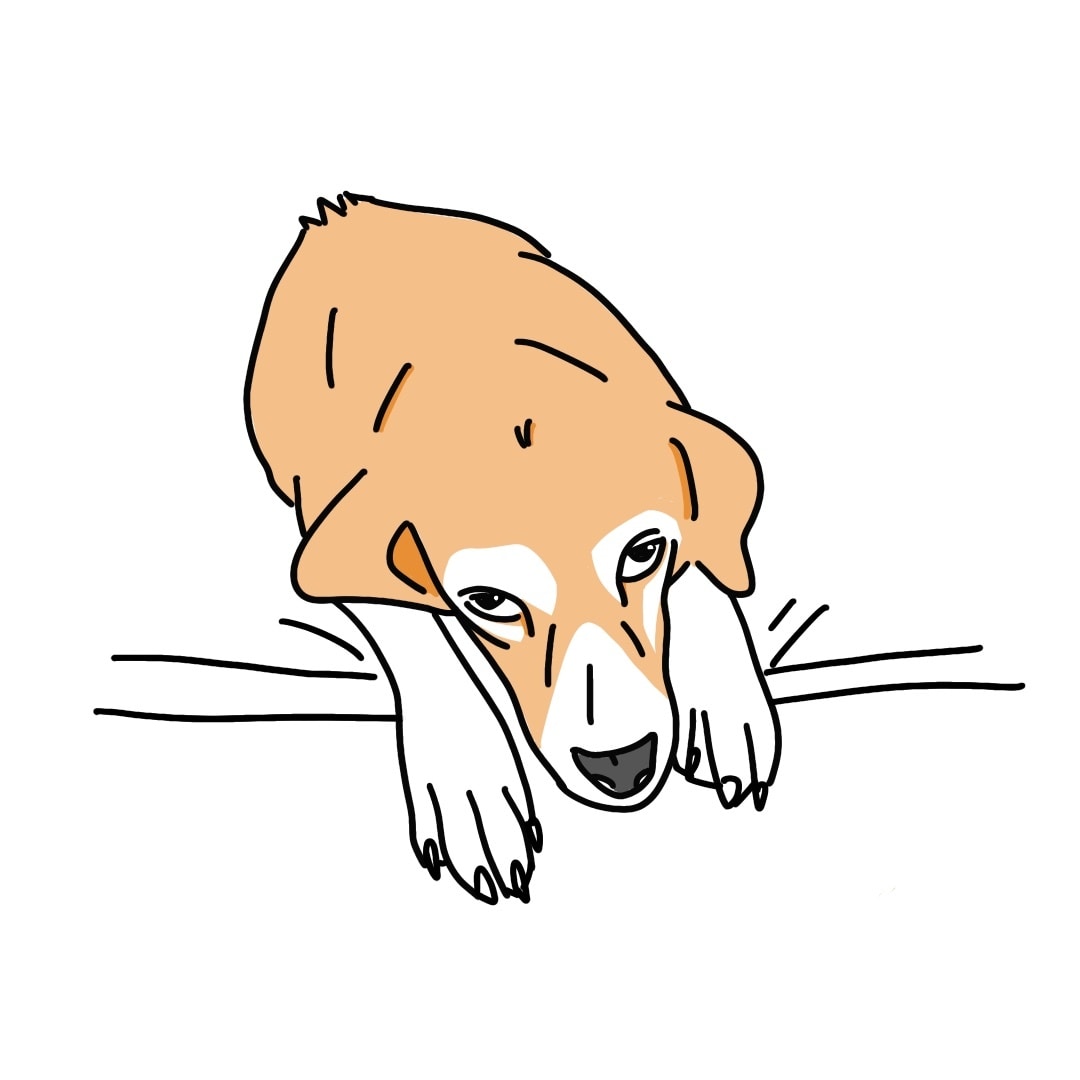 シンプルデザインでペットのイラスト描きます シンプルデザインでペットのイラスト書きます イメージ2