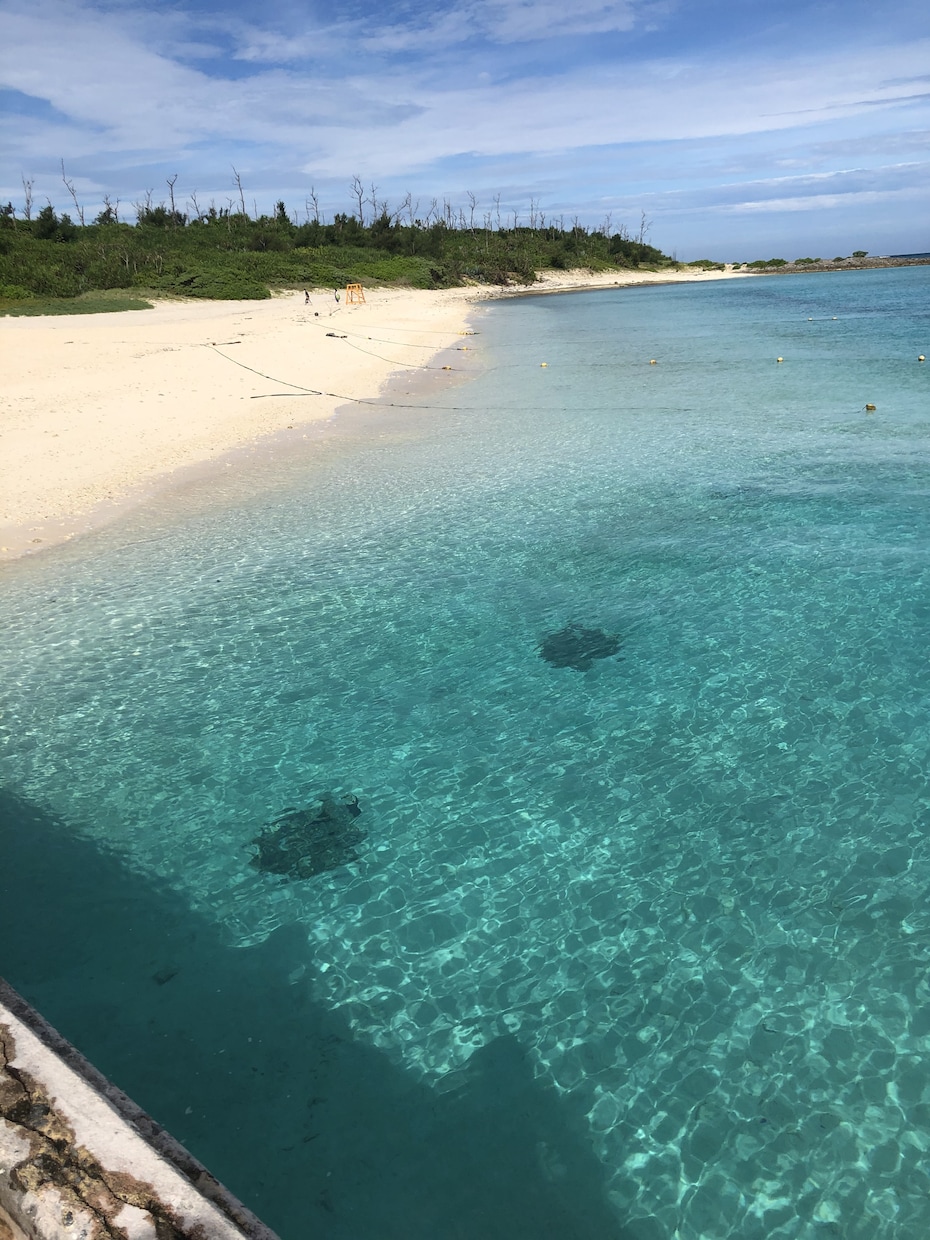沖縄のロケーションやグルメの素材提供します 沖縄の自然豊かな海やグルメの写真、動画素材の提供します！ イメージ2