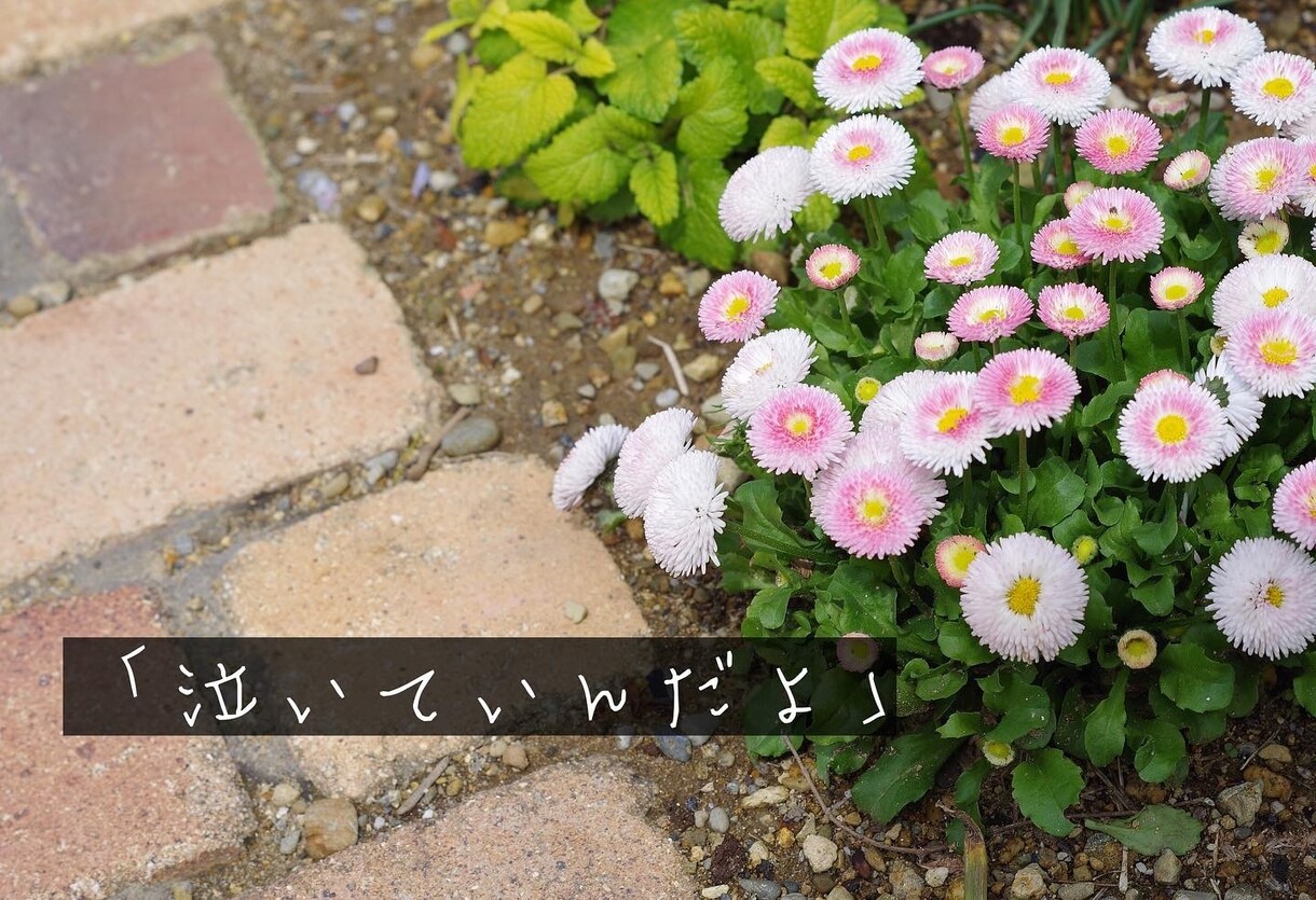 恋愛相談・お悩み相談☆心が軽くなります ☆心にそっと☆をテーマに自分自身と向き合う事を大切にしてます イメージ2