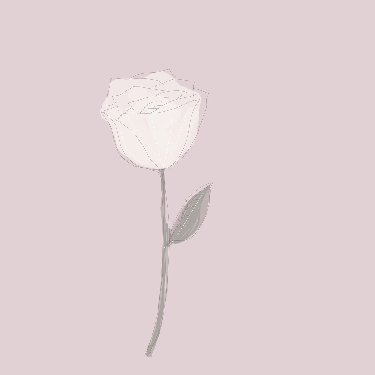 お花のイラスト描きます オーダーメイドでとっておきの１枚をお作りします イメージ1