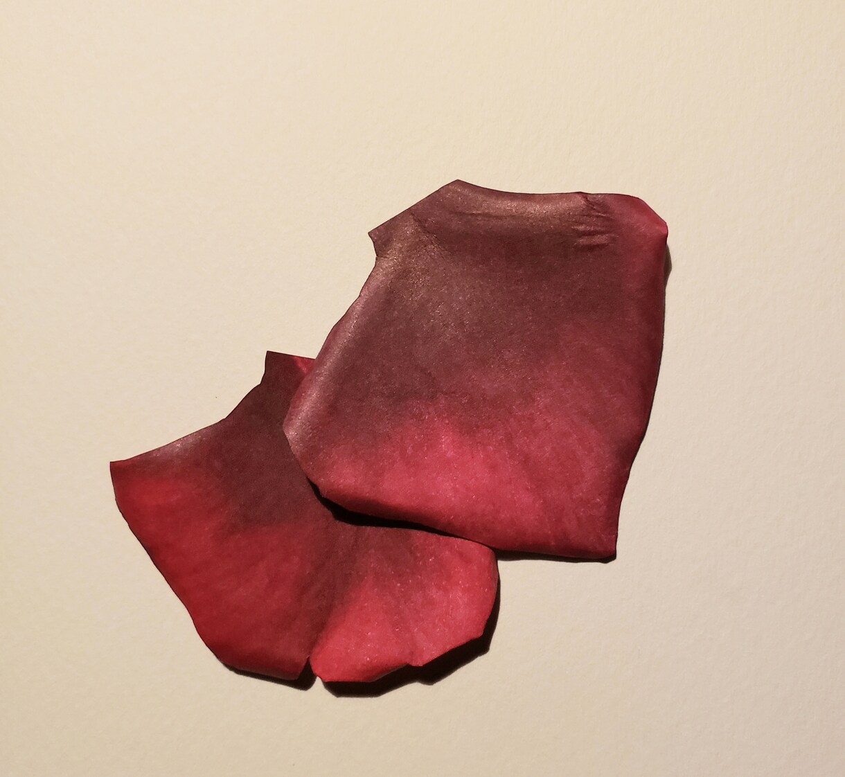 紙のオーダーフラワーをお作りいたします 紙で花びらを1枚ずつ制作したお花を完全オーダーメイド。 イメージ4