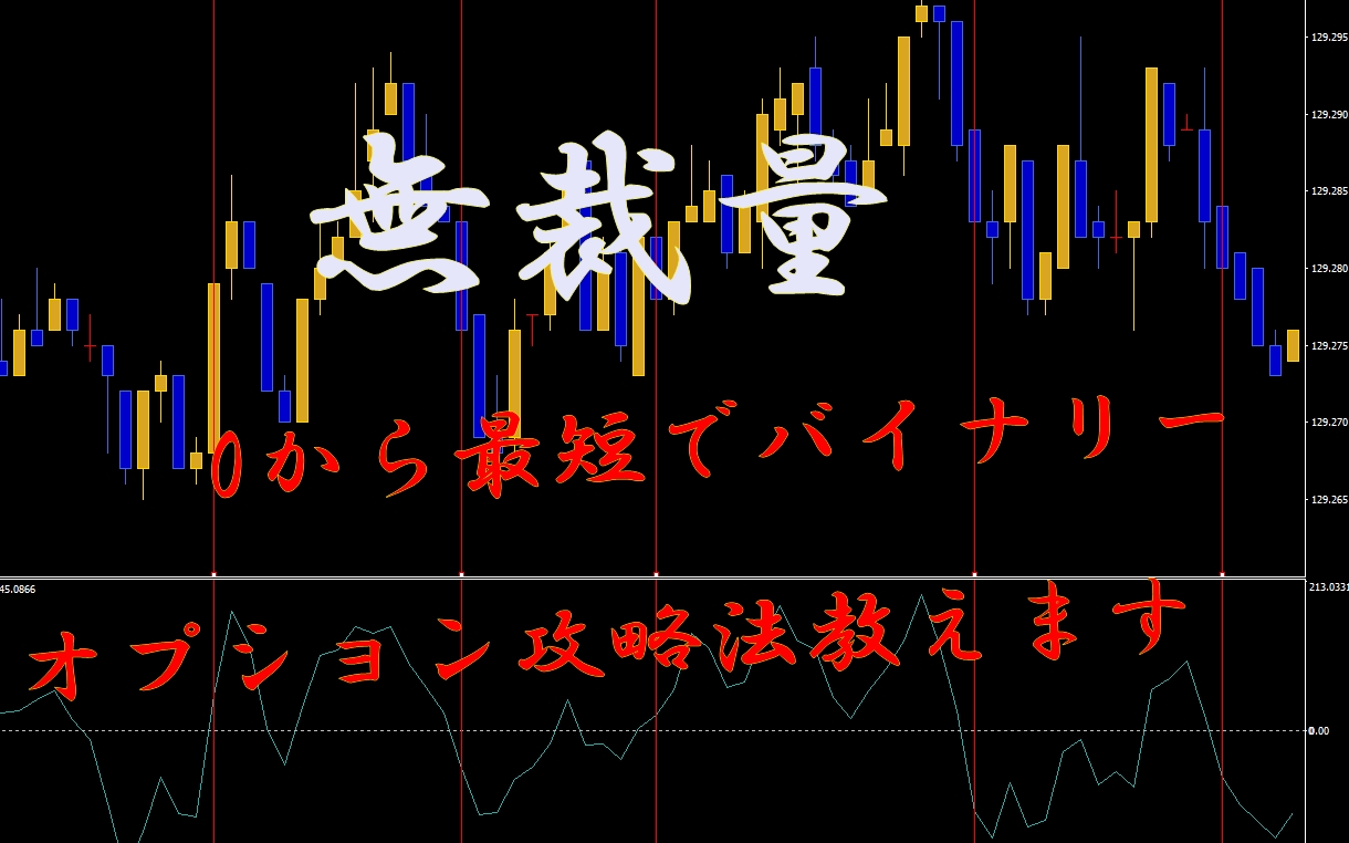 0からバイナリーオプション攻略方教えます 資産を増やしていく堅実な内容です。 イメージ1