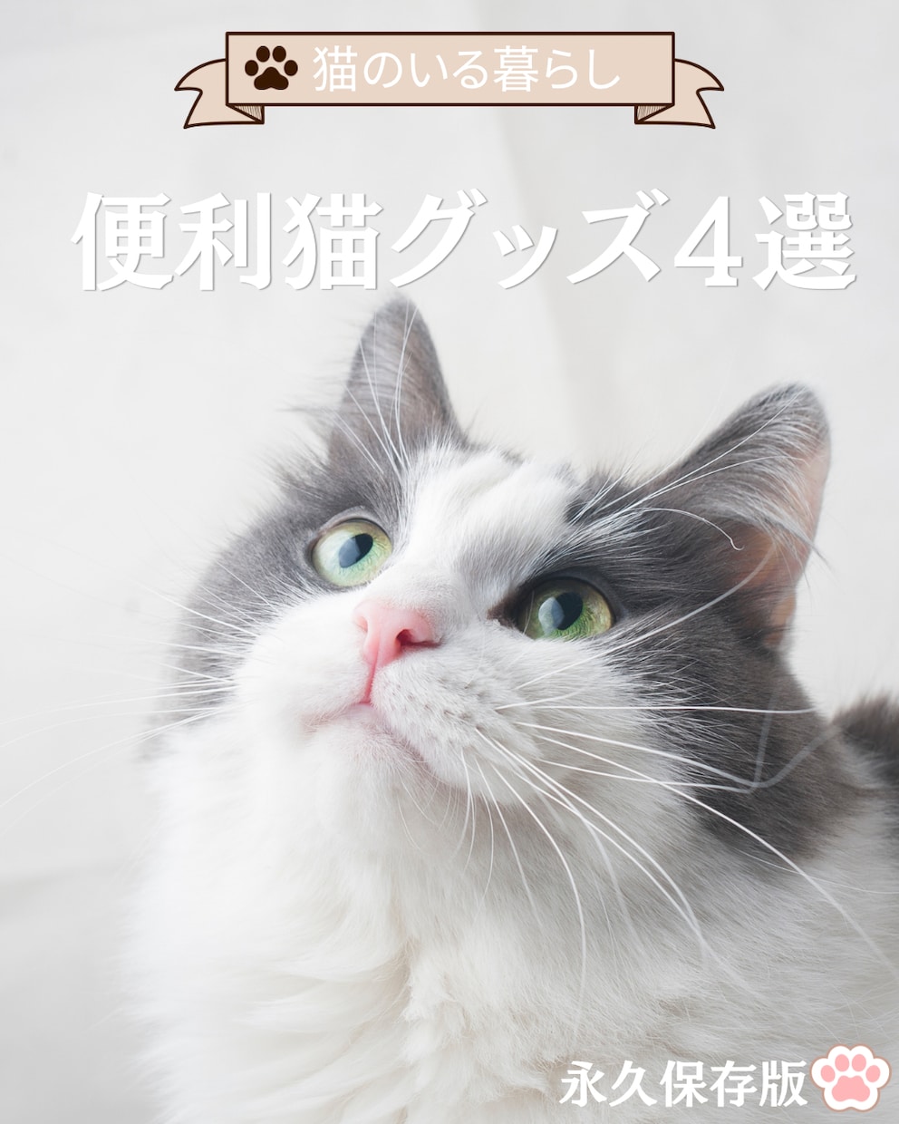 Instagramの投稿・図解画像を制作します 世界観に合わせた大人可愛い・オシャレなデザインをお届けします イメージ2