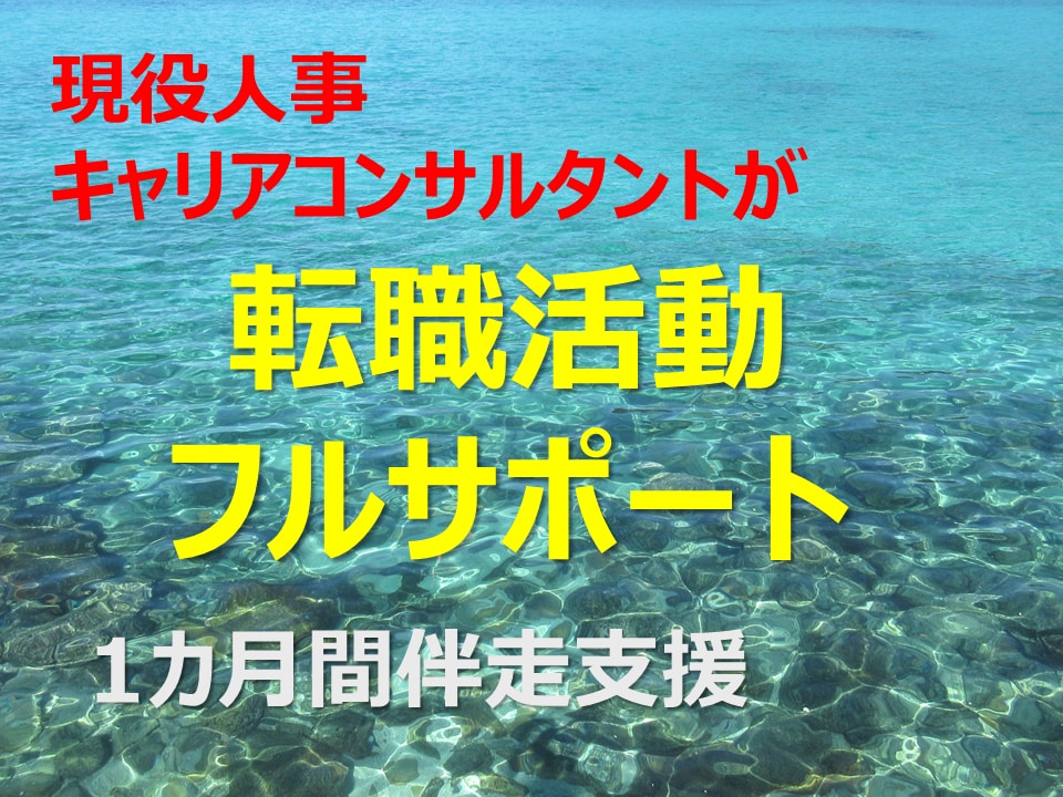 現役人事が1カ月間転職活動をフルサポートします 応募先～書類～面接～入社判断を面談と無制限チャットで伴走支援 イメージ1