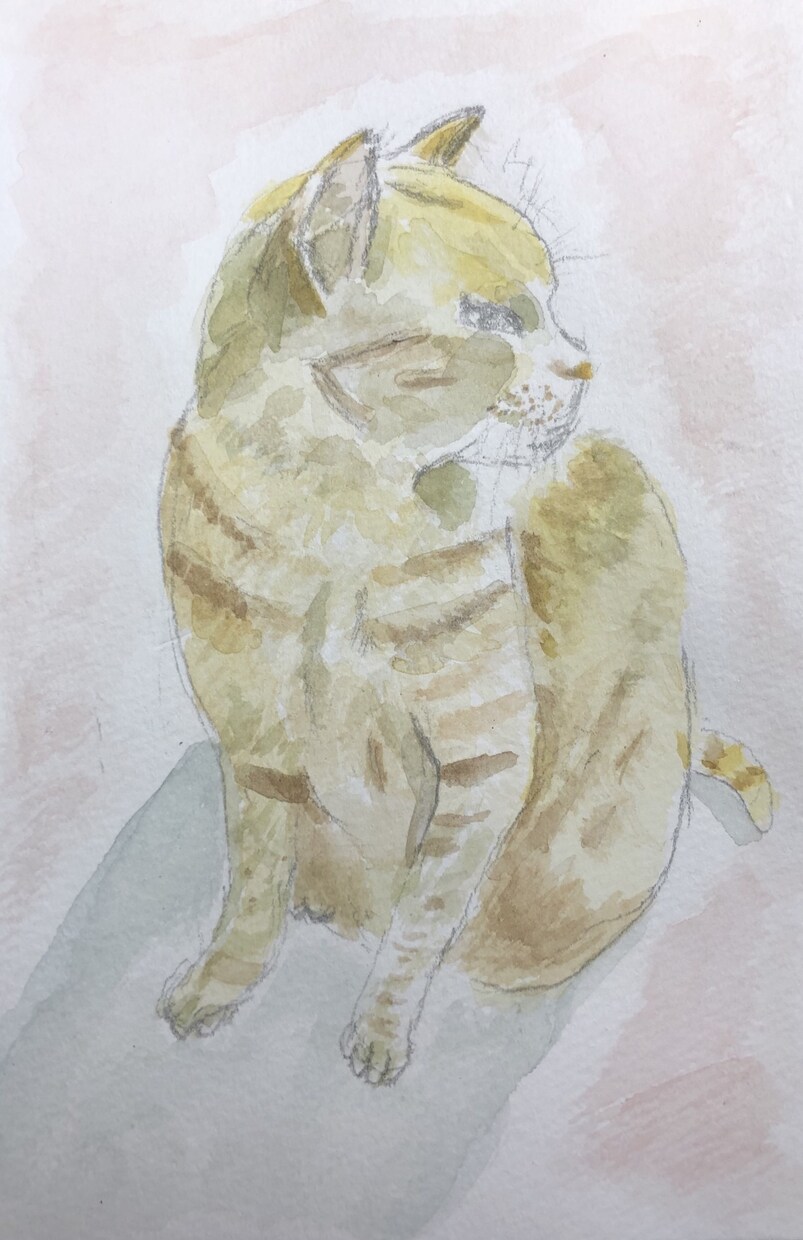 対話✖️あなたの大切なペットを水彩で描きます 看護学生があなたに寄り添います、毒吐きをしませんか。 イメージ2