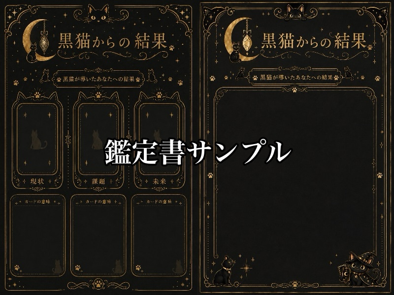 創作・同人・SNSの悩みを黒猫がほぐします 同人や創作や推し活でお悩みの方の気持ちを黒猫が聴きます イメージ4
