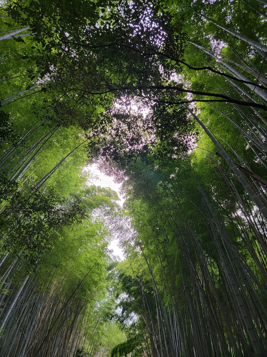 自然の風景と、たまに動物が紛れます 自然の癒し、掛け替えのない風景大地の雄大感。出会う動物たち イメージ8