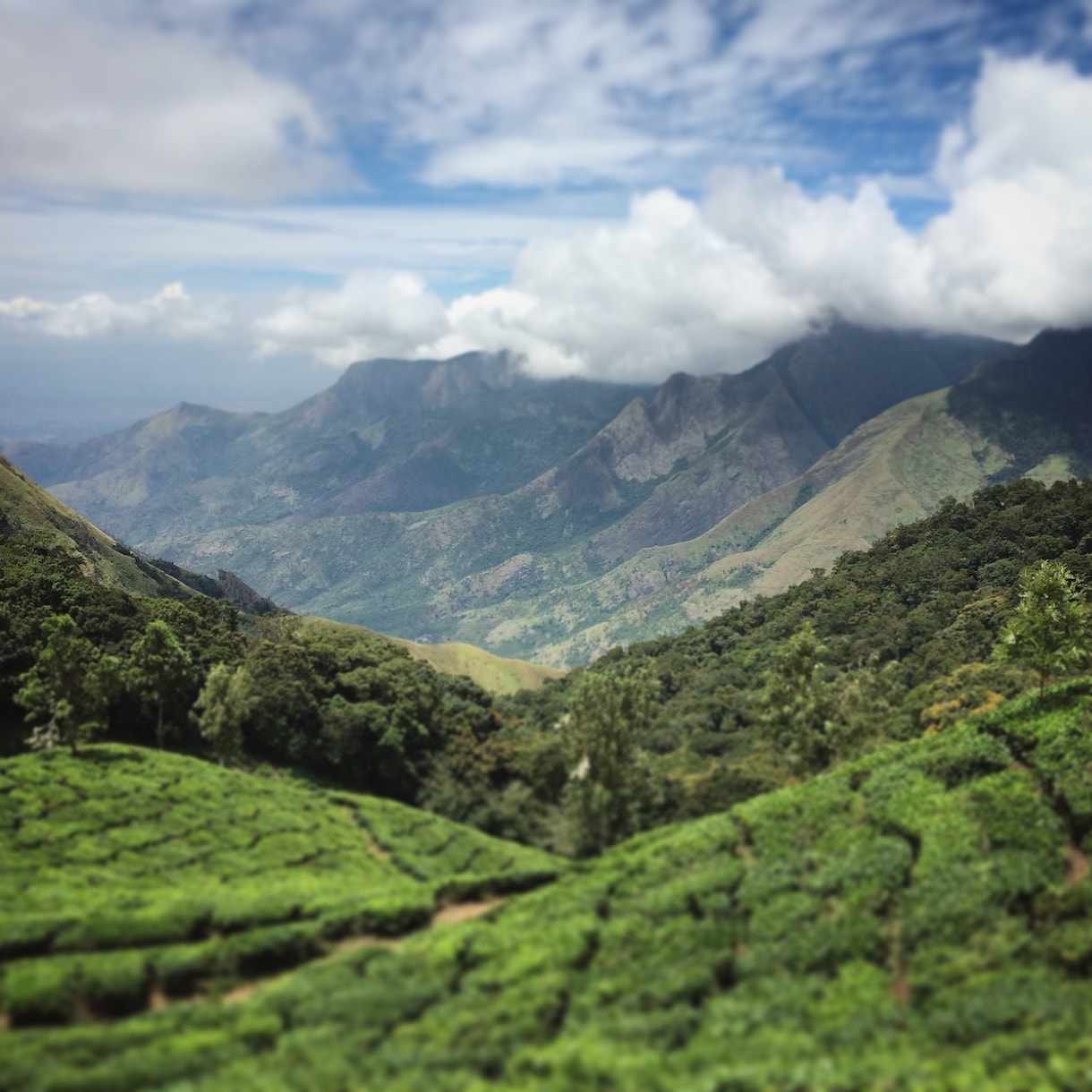 子連れインド旅行オンラインアドバイスします インド在住歴＆旅行業界経験のママが子連れ旅をサポート！ イメージ2
