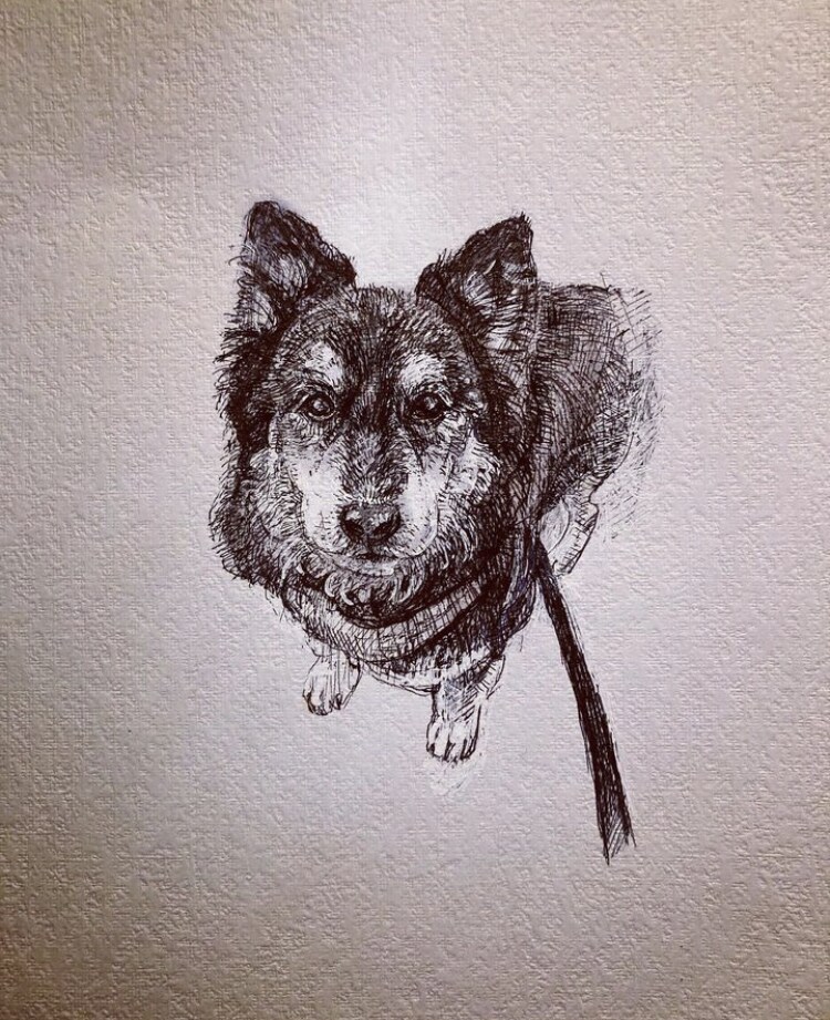 ペットの肖像画やイラストを賜ります どんな雰囲気で性格は？そうゆうこと大事に絵を描きたいです。 イメージ8