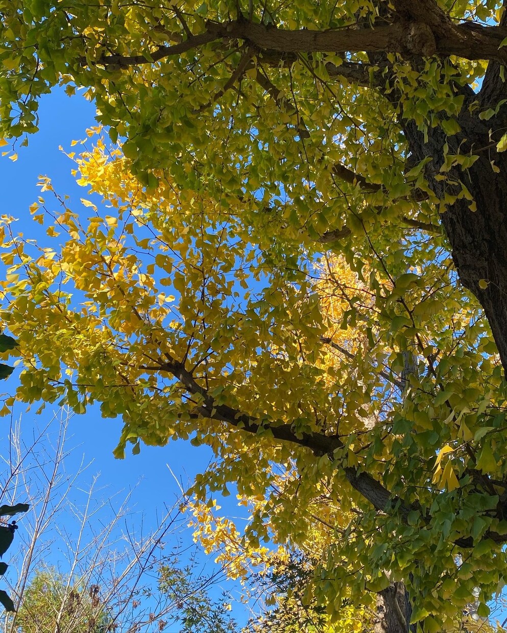 自然のお写真を提供します ふと立ち止まって見えた景色を撮っています イメージ4
