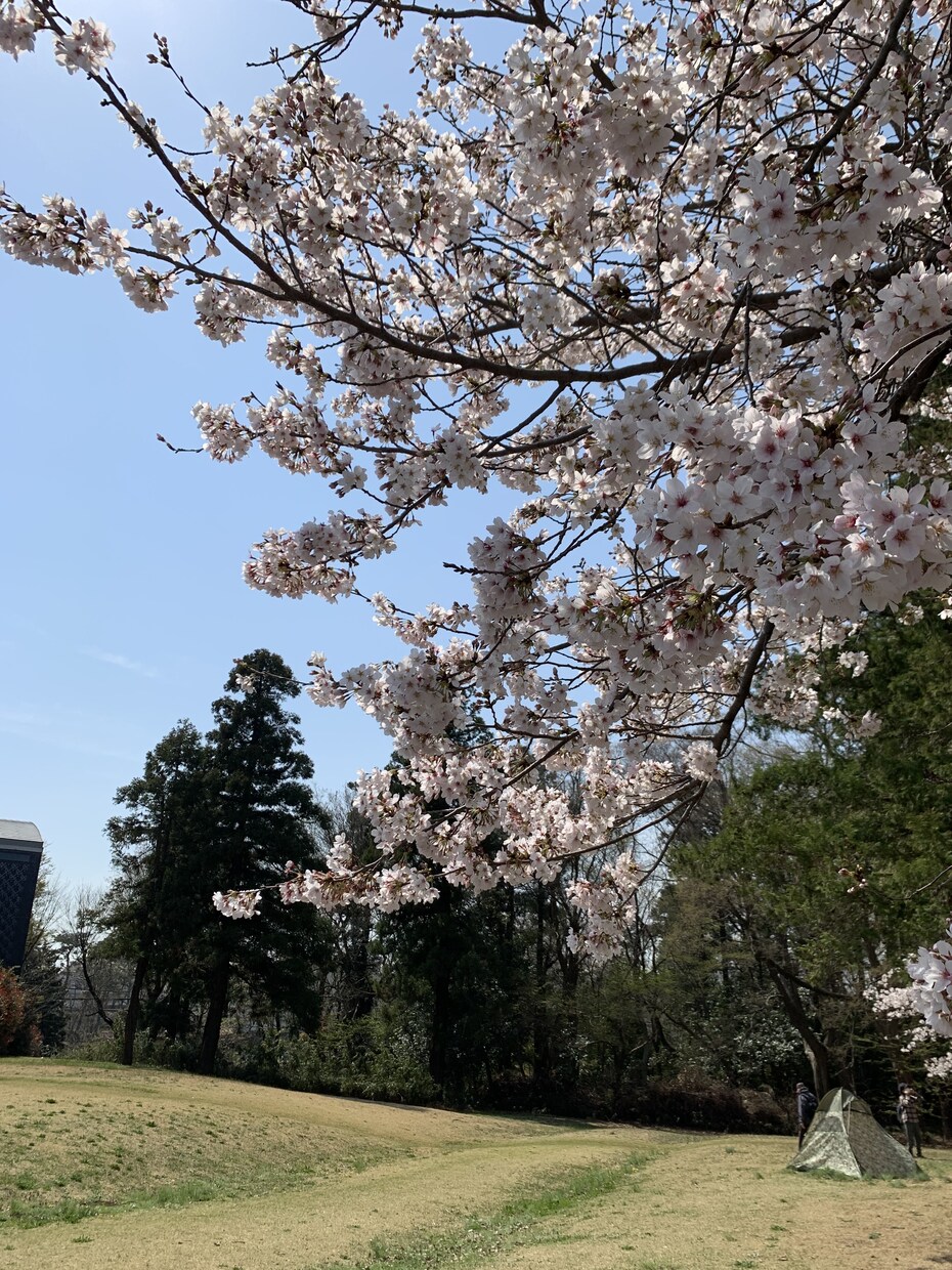 あなたのお金や働き方のお悩み解消します ⭐️曖昧な不安や悩みで大丈夫‼️言語化して解決しましょう⭐️ イメージ5