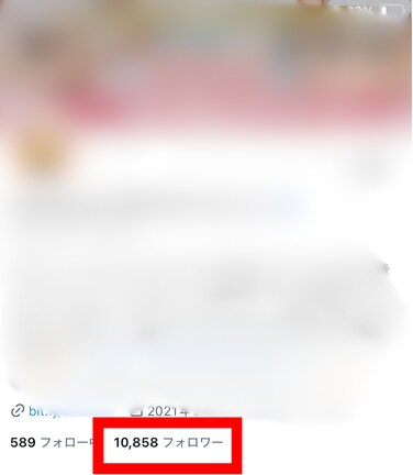 SNS運用1ヶ月間1対1で徹底サポートします フォロワー数やインプだけじゃない！売れる投稿をしましょう イメージ8