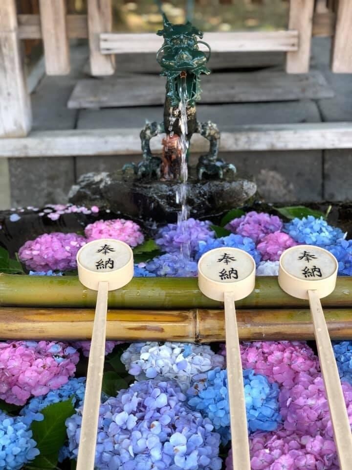 あなたの悩みに寄り添ってお話し聞きます たくさんの経験をしてきた私だからこそ、寄り添えます。 イメージ3