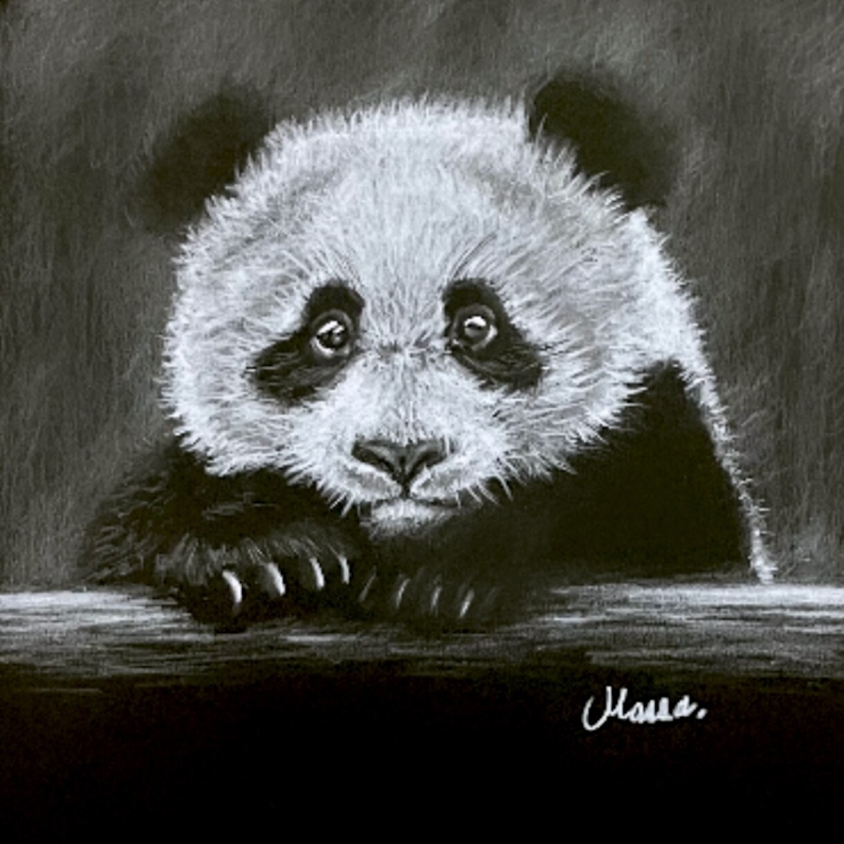 黒紙に白色鉛筆でリアルな絵を描きます 他にはない黒紙に白色鉛筆だけでリアルな質感で絵を描きます イメージ4
