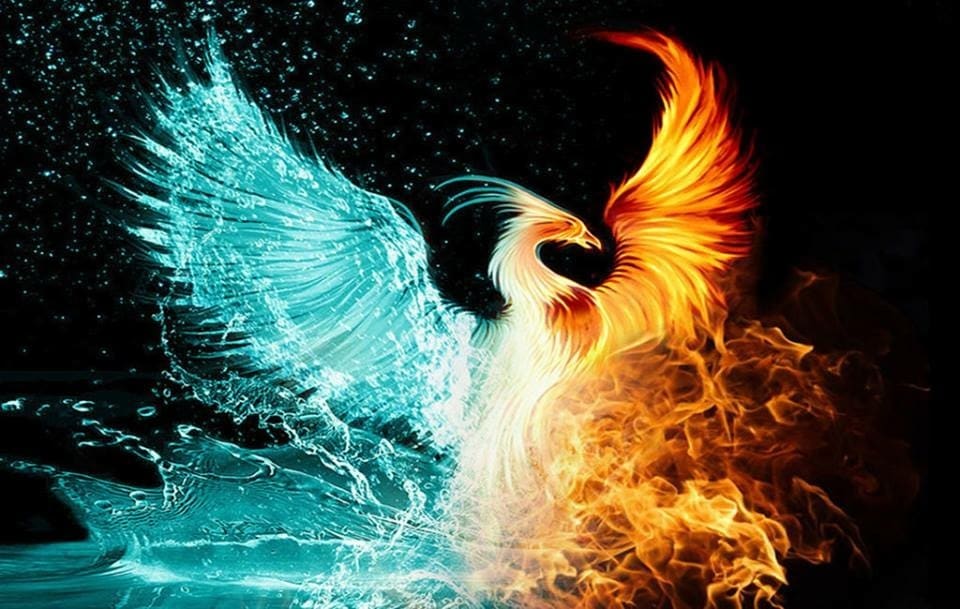 鳳凰のエネルギーとお繋ぎします アースフェニックスエッセンスアチューメント致します✨ イメージ1