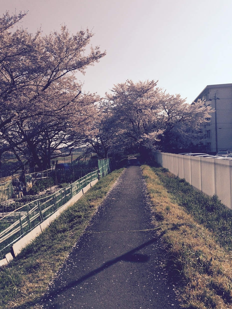 悩み、愚痴、なんでも話し相手になります 皆さんの気持ちが少しでも楽になりますように。 イメージ1