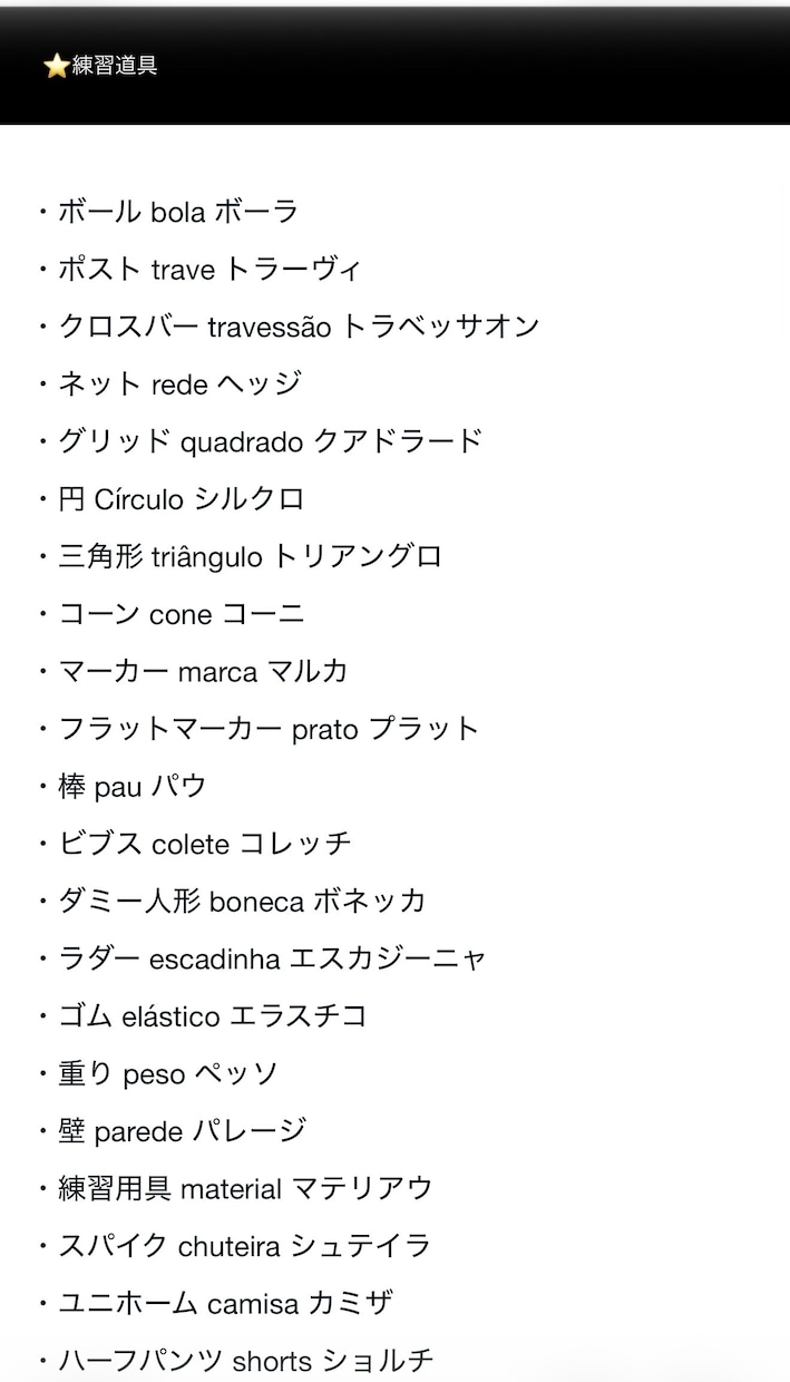プロがポルトガル語のサッカー用語のレッスンします ブラジルクラブ在籍・五輪・Jリーグ通訳の経験から イメージ3