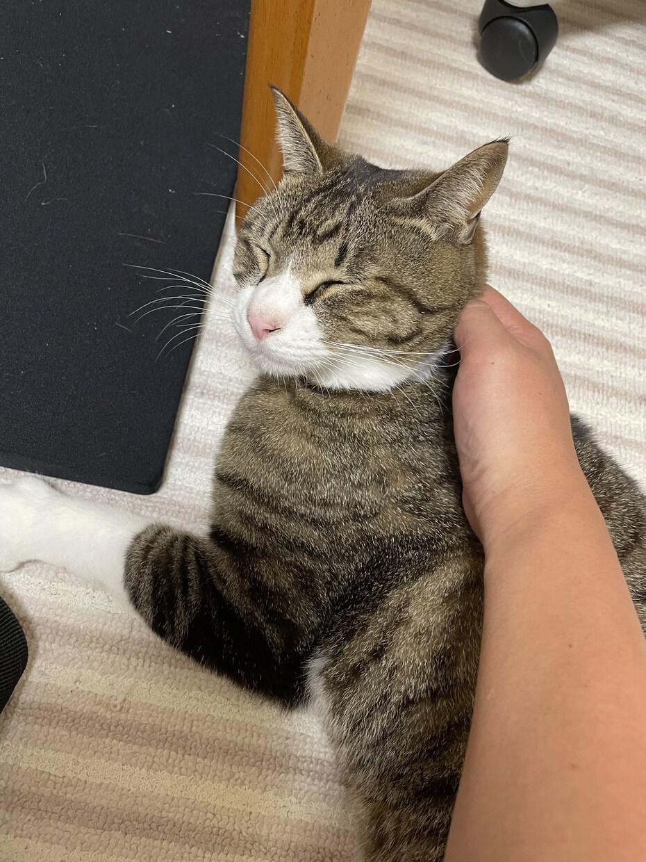 楽しむことを大切にできるようにします 辛い、何していいのか分からない、まずは話してください。 イメージ1
