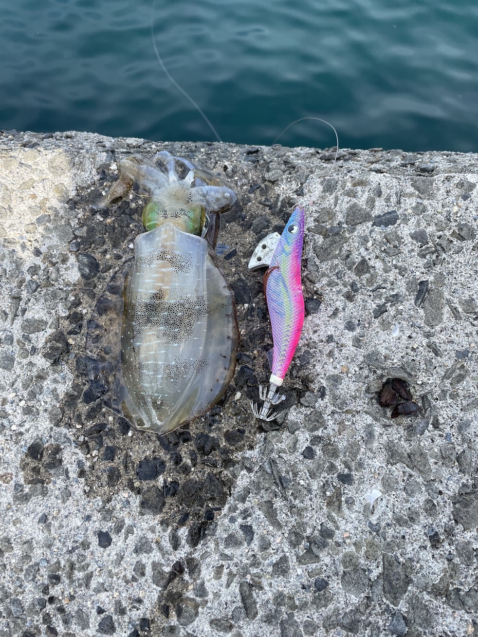 ルアー釣り教えます 今から始める初心者にも実績を踏まえてわかりやすく解説します！ イメージ2