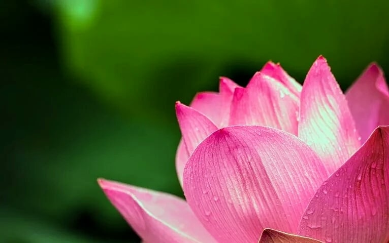 魅力を引き出す、7通のメッセージを送ります 自分らしく生きる準備を始めるためのメッセージをお送りします イメージ5