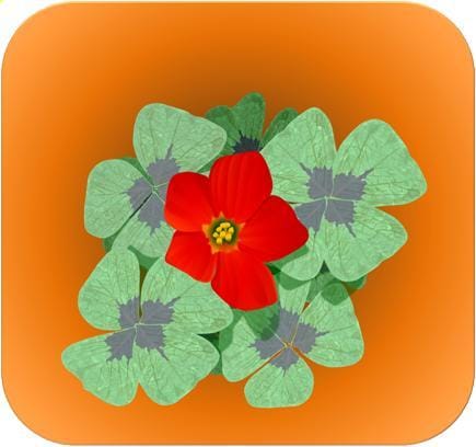 あなたのお写真・絵をSVG、pdfで描き直します ベクター画像なので拡大しても美しいままです イメージ10