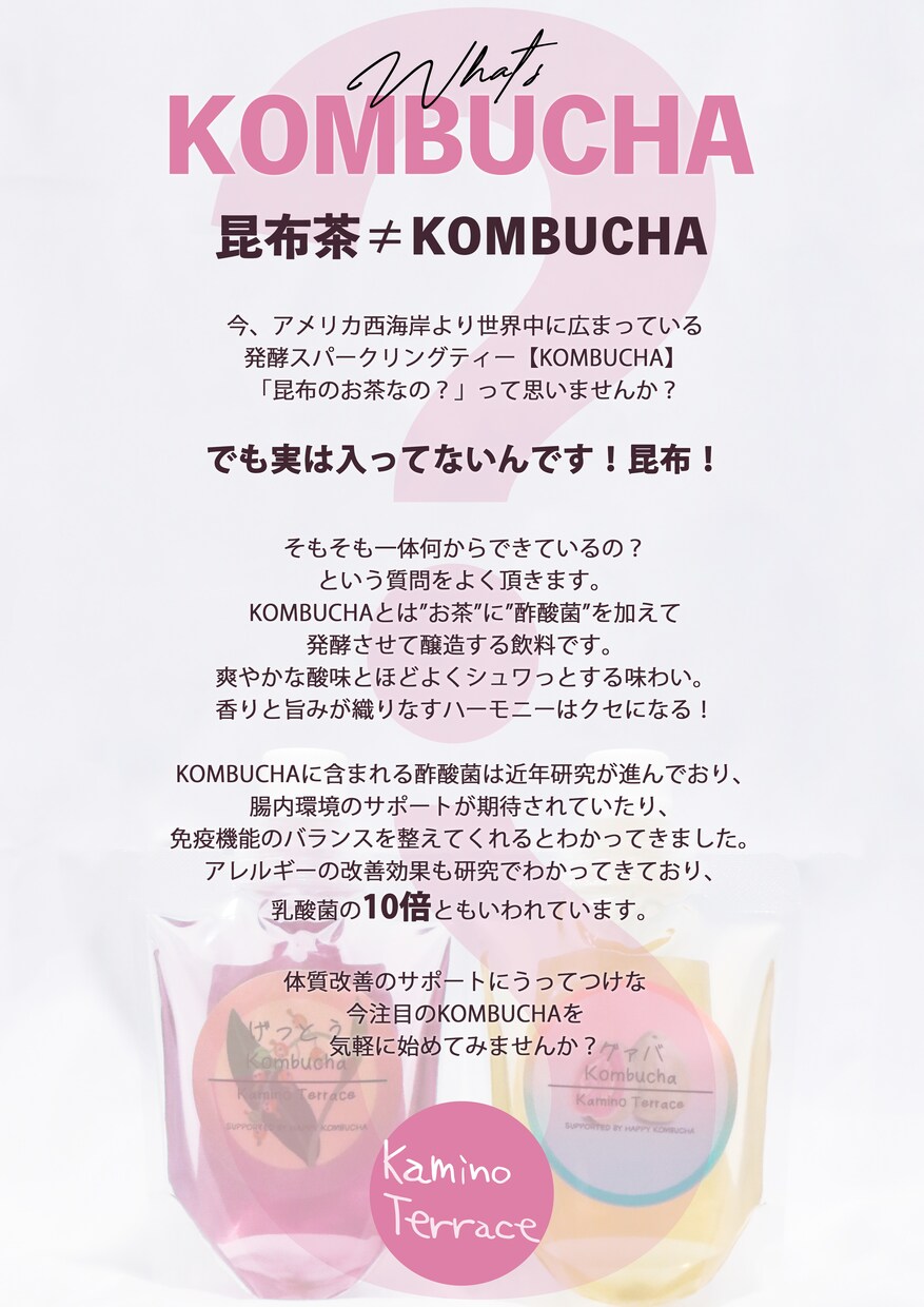 オリジナルのドリンクを製品化サポートします オリジナル清涼飲料水を商材に開業したい人必見です！ イメージ4