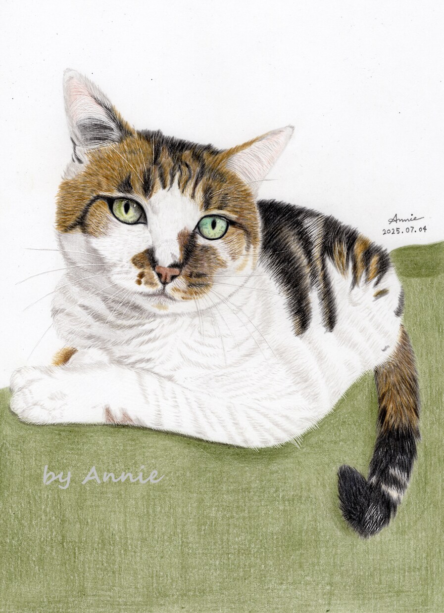 リピーター様用・90分で色鉛筆画の描き方を教えます 現役アーティストが教える色鉛筆画レッスンです。 イメージ1