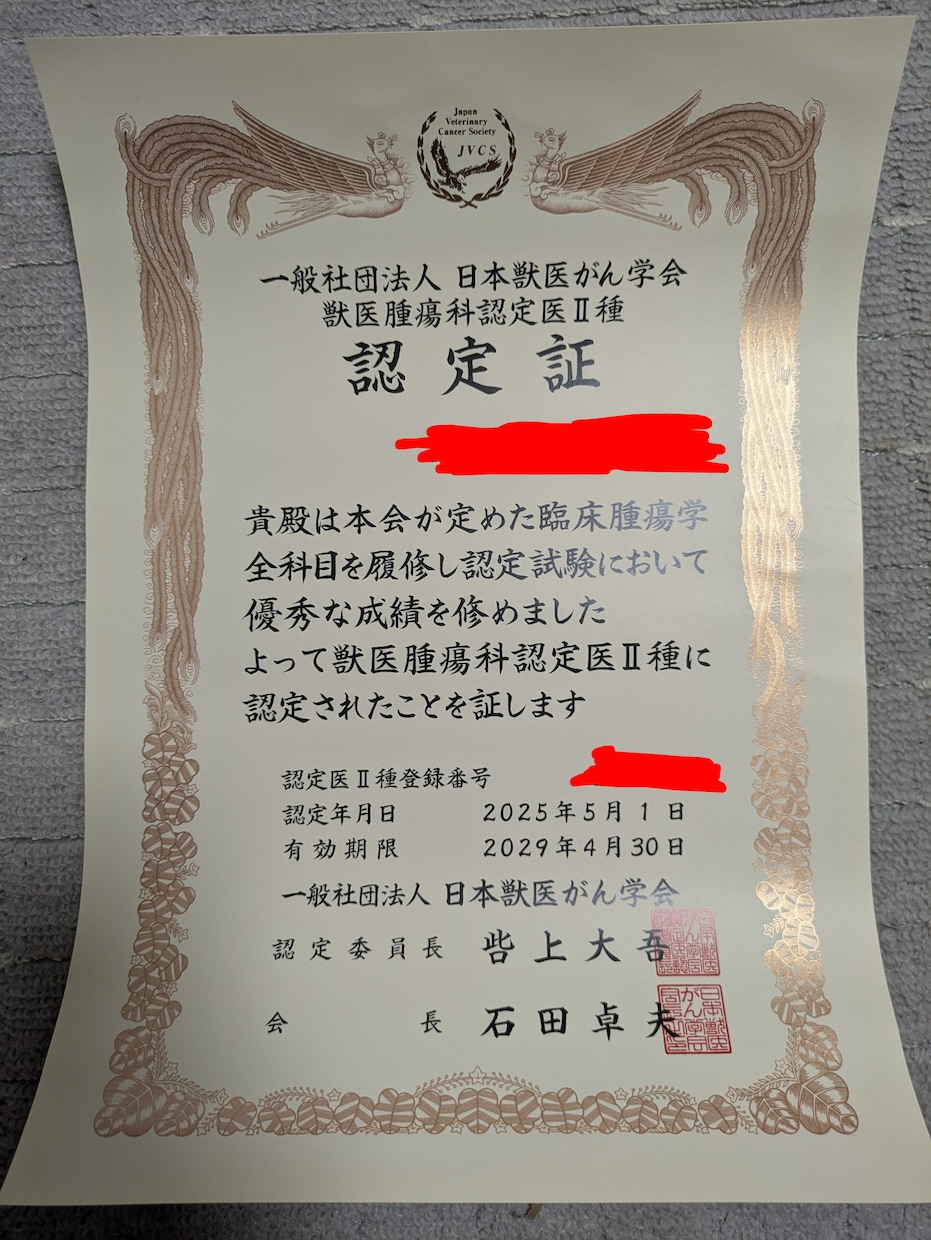 犬猫の不安をすぐ解決｜獣医師による電話相談のります 獣医腫瘍科認定医の経験豊富な獣医師がいつでも電話相談のります イメージ3