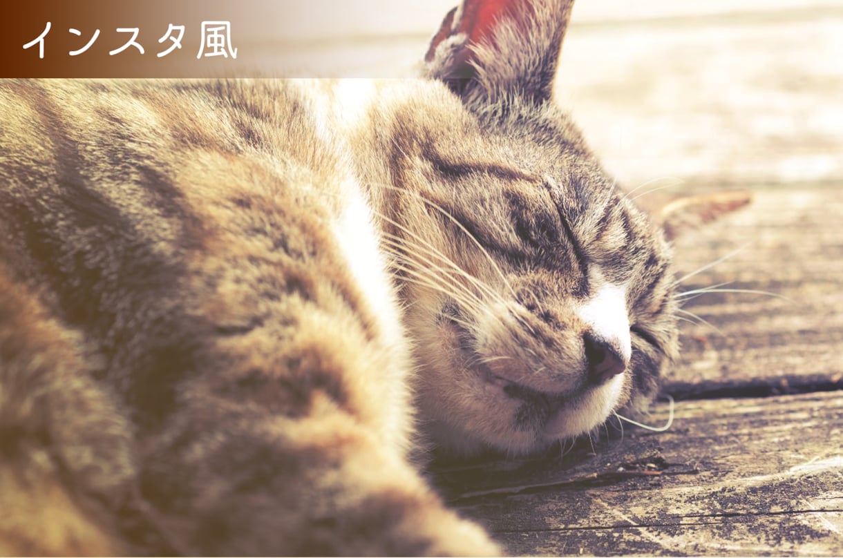 大切な写真のレタッチをプロデザイナーが承ります 綺麗にしたい写真、ありませんか？？ イメージ3