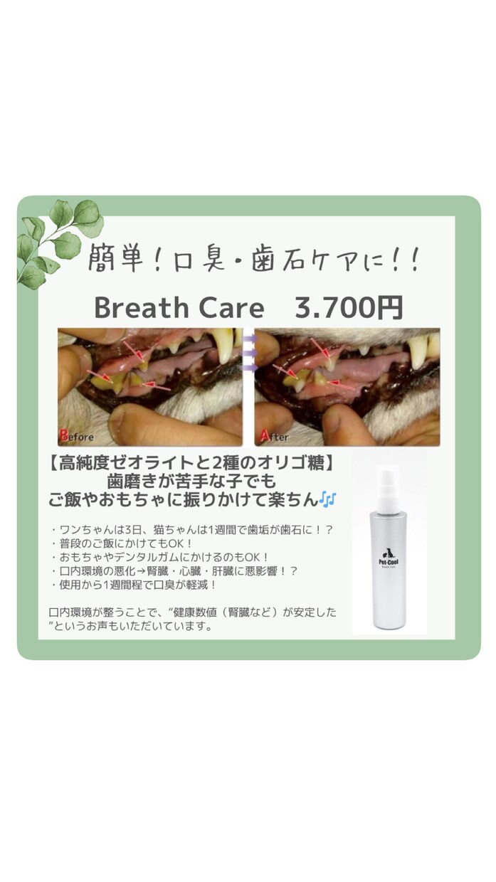 おしゃれで魅力伝わるSNS画像を丁寧に作ります 女性目線で柔らかく伝わるデザインを作成いたします イメージ3