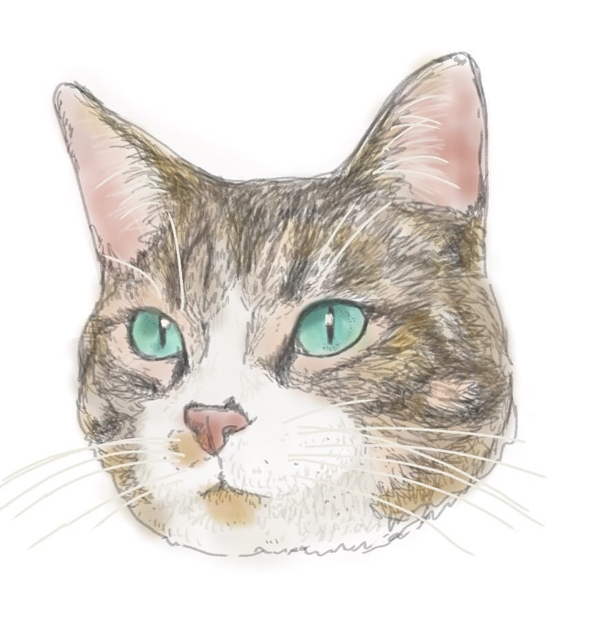 優しいタッチのペットのイラスト作成します 貴方のペットの写真を元にふんわりしたイラストをお描きします。 イメージ8
