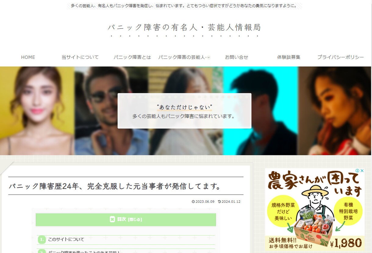 サテライトサイト（衛星サイト）の作成します SEO戦略を駆使した集客特化型のサイト制作はお任せください。 イメージ2