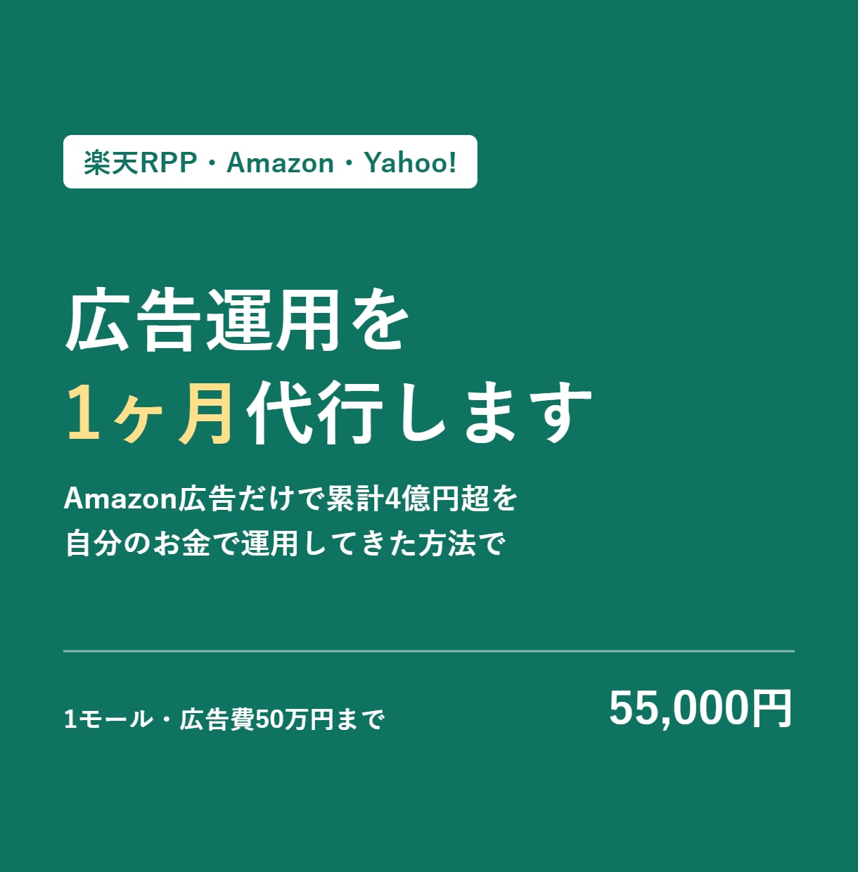 楽天RPP・Amazon広告を1ヶ月運用代行します 自分のお金で磨いた運用を、そのまま御社に イメージ1
