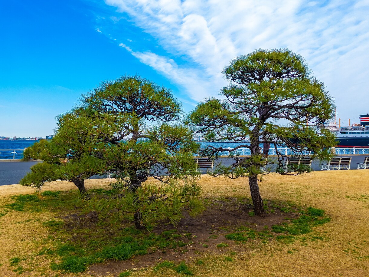 写真の色編集、光編集承ります 写真がなんか物足りないと感じた時綺麗な色合いに編集します イメージ9