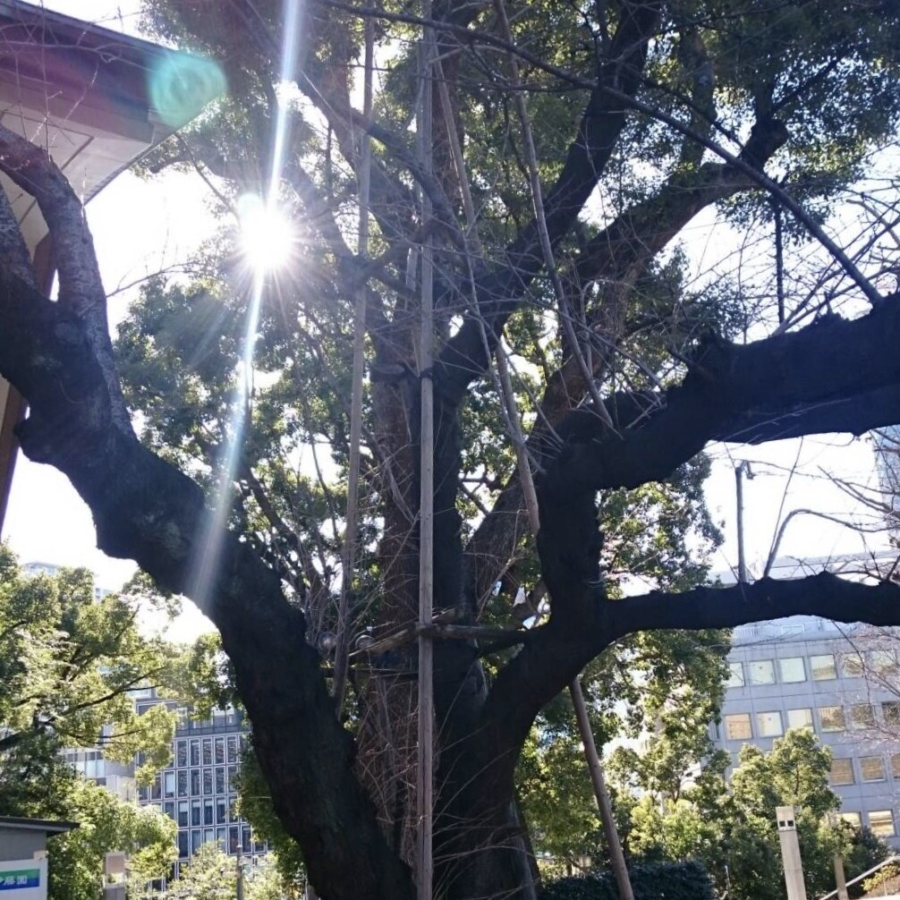 復縁、なかなか進展しない恋愛の神社に代理祈願します 2018年6月17日開催☆縁結び、厄除け、子授け、安産 イメージ2