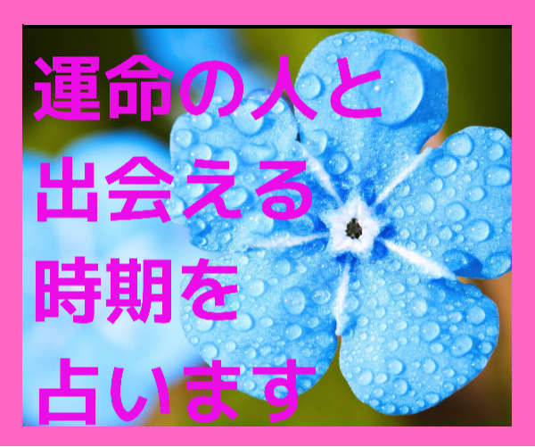 運命の人って必ずいるよ❣️出会える時を占います 出逢いを諦めていた貴方❣️思い切って心の扉を開いてみませんか イメージ1
