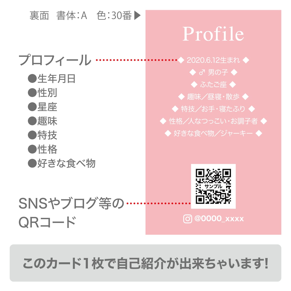 シンプルでかわいいデザインのうちの子名刺を作ります 【両面印刷100枚】送料無料　セミオーダー　QRコード入り。 イメージ3
