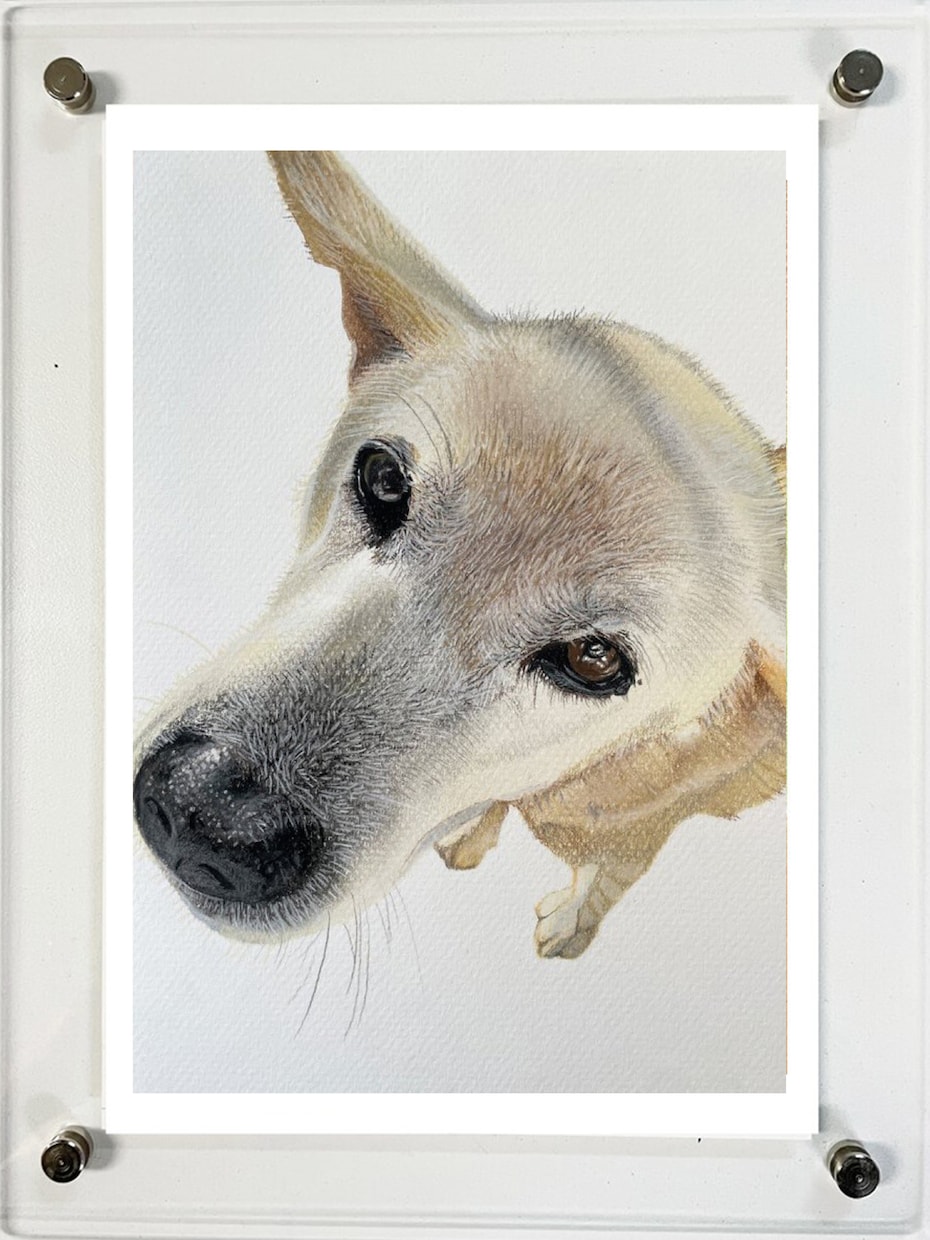 ペットの似顔絵を写真のようにリアルに描きます 犬、猫、うさぎなど動物の肖像画を手描きでリアルに描きます イメージ5