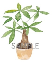 完成品・水彩イラスト描いています 受注製作ではなく出品作品のみです イメージ6