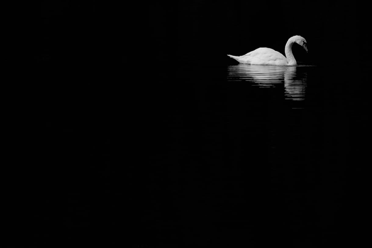 かっこいいモノクロ写真にします 明暗に拘ったモノクロ写真に仕上げます! イメージ8