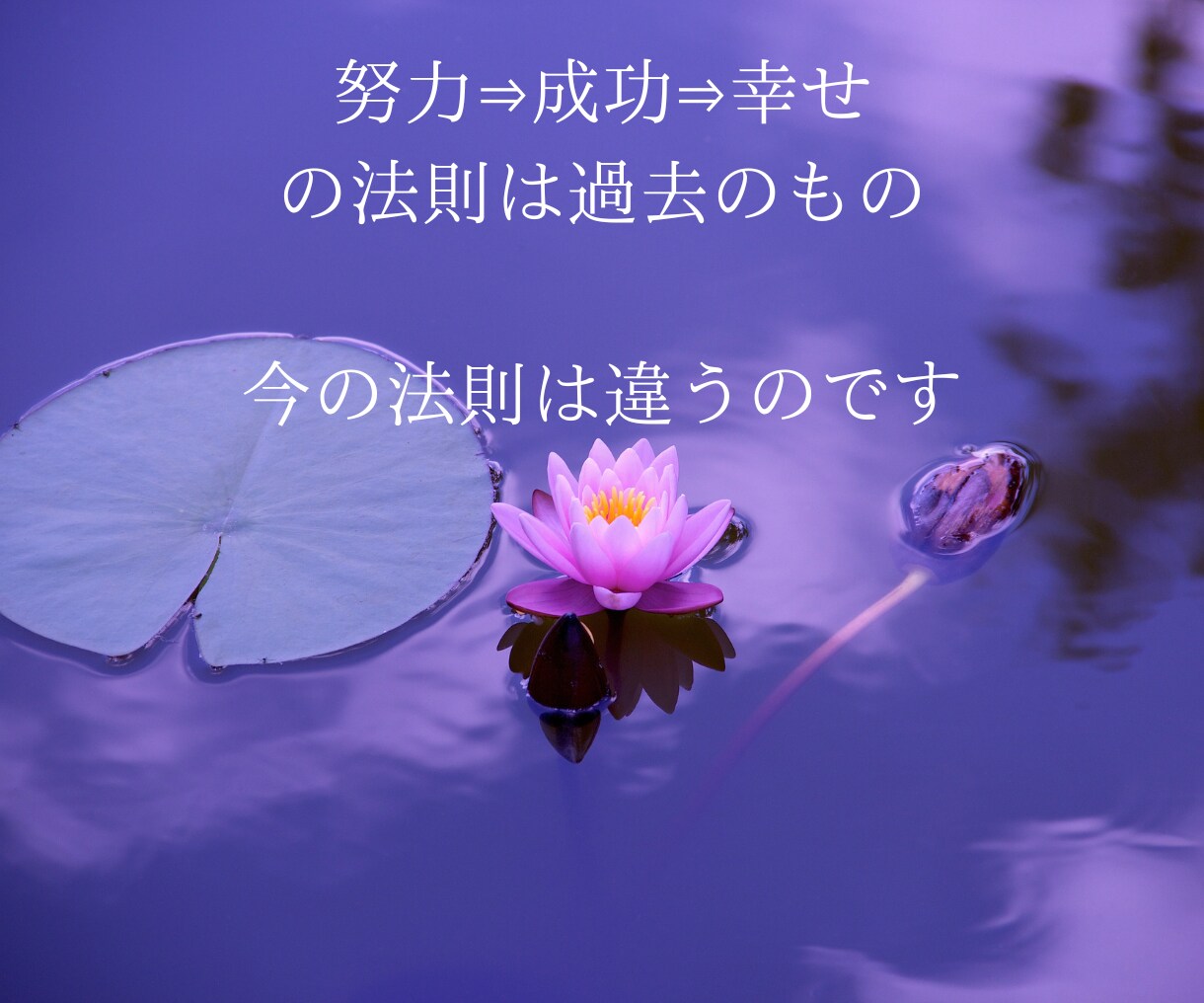 幸せとは「成功への愛の法則」をお伝えします 努力ししているのに成功しない、成功したのに幸せを感じられない イメージ4