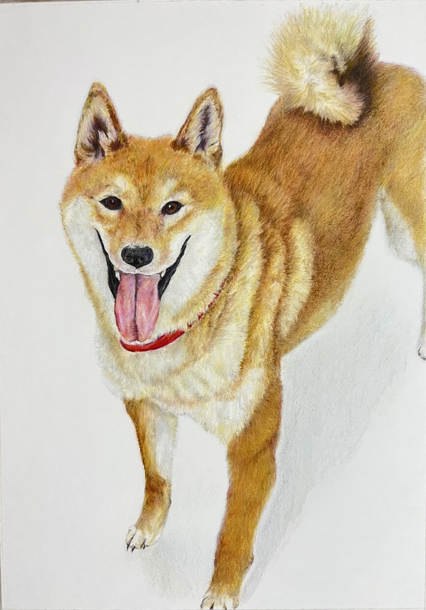 部屋に飾りたくなるような動物画を描きます ペットの似顔絵やあらゆる生き物の絵の作成依頼を承ります。 イメージ3