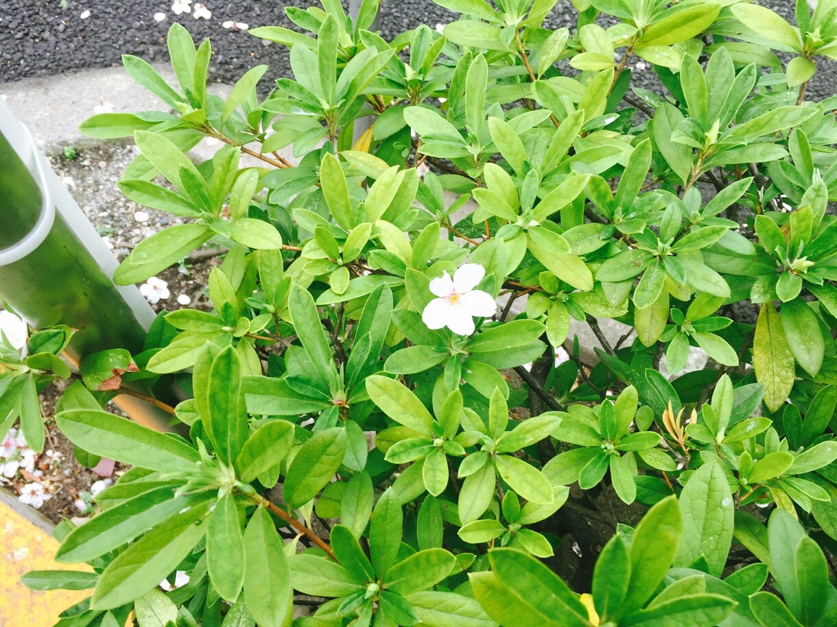 ご自宅、引越し先など霊視します 写真、間取りを送っていただければ、気になる場所やお家みます！ イメージ1